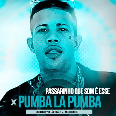 Passarinho Que Som É Esse X Pumba La Pumba By Mc Magrinho, Quer Funk ? Então Toma !'s cover