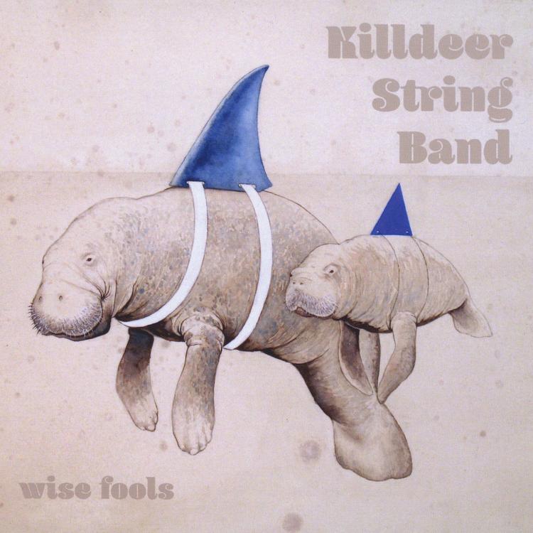 Killdeer String Band's avatar image