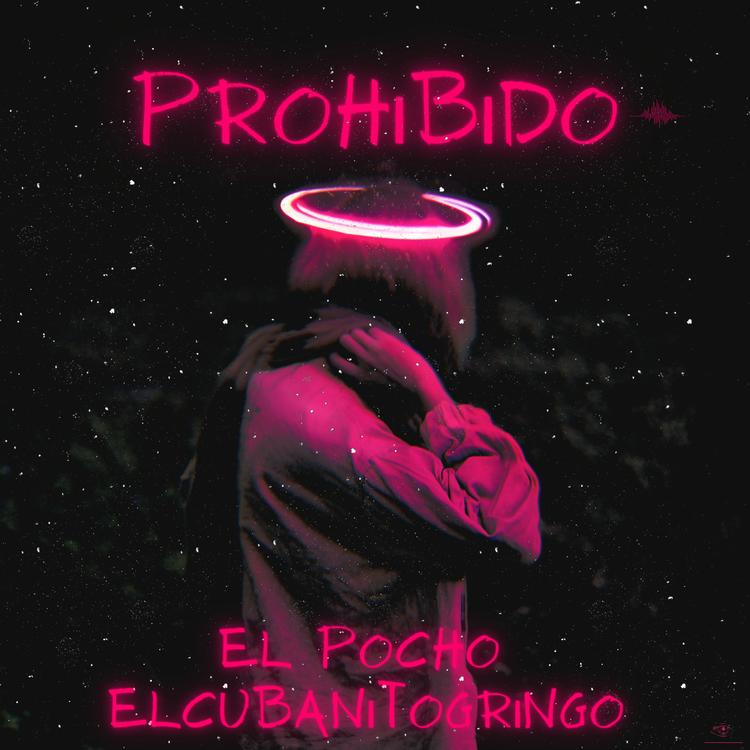 El pocho's avatar image