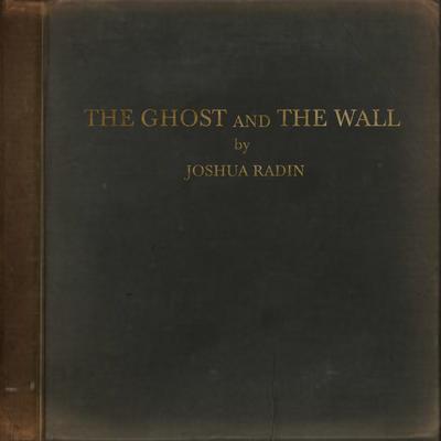The Ghost and the Wall's cover