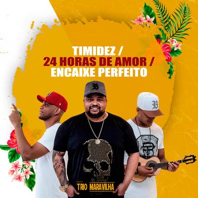 Timidez / 24 Horas de Amor / Encaixe Perfeito (Ao Vivo)'s cover