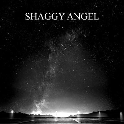 Shaggy Angel By MESTA NET's cover