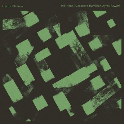 Still Here (Alexandra Hamilton-Ayres Rework) By Hector Plimmer, Alexandra Hamilton-Ayres's cover