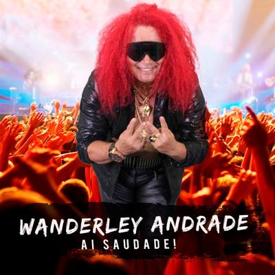 Ai Saudade By Wanderley Andrade's cover