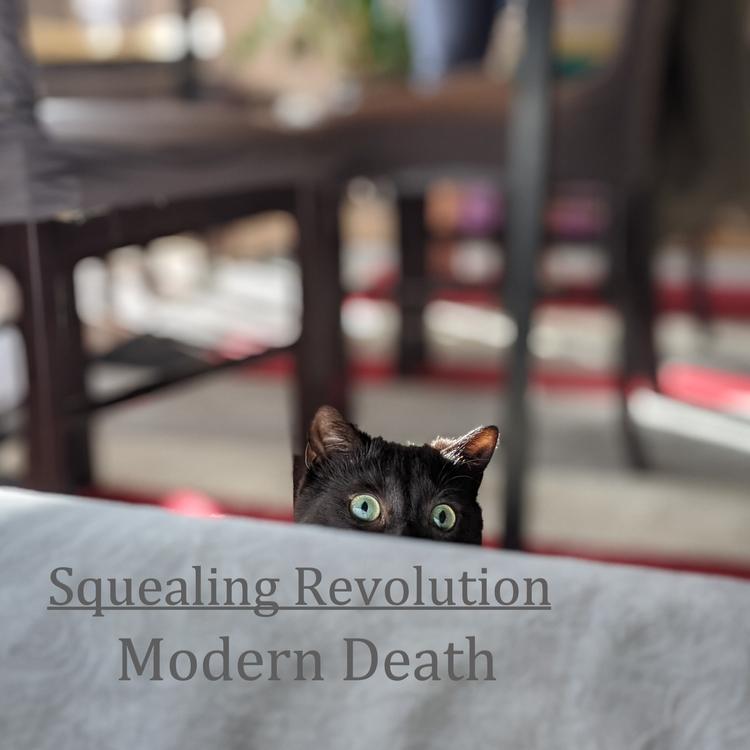Squealing Revolution's avatar image