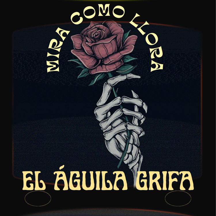 El Águila Grifa's avatar image