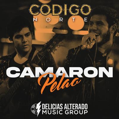 Codigo Norte's cover