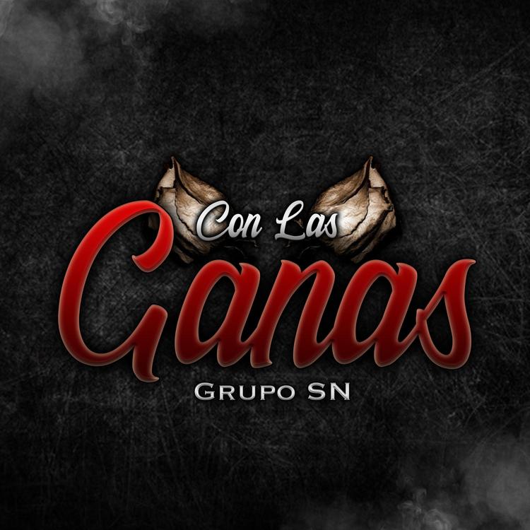 Grupo SN's avatar image