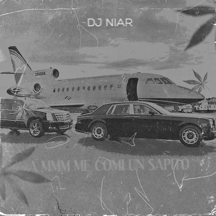 DJ Niar's avatar image