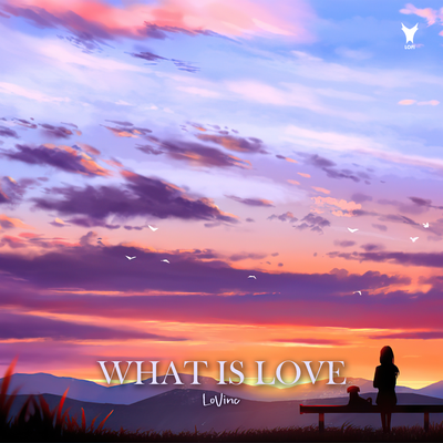 What is Love By LoVinc's cover
