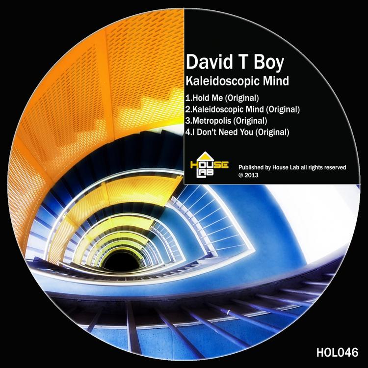 David T Boy's avatar image