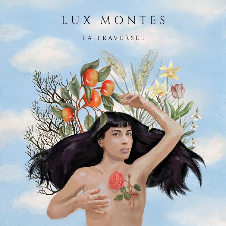 Lux Montes's avatar image