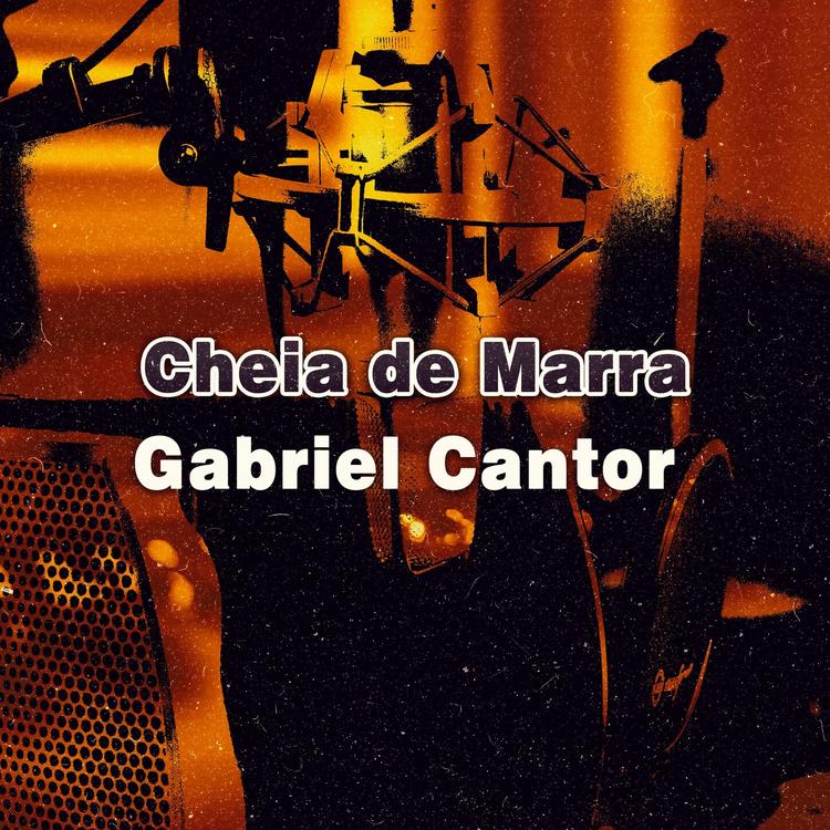 Gabriel Cantor's avatar image