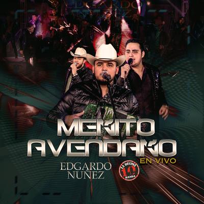 Meñito Avendaño (En Vivo)'s cover