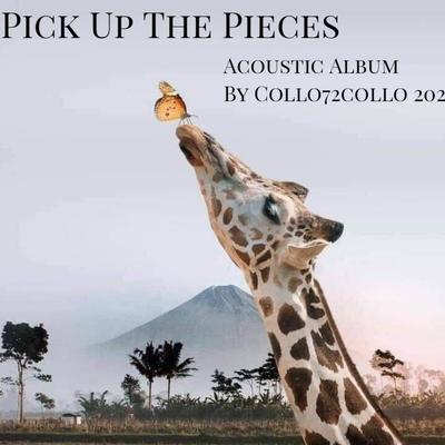 Pick up the Pieces's cover