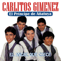 Carlitos Gimenez - El Principe de Añatuya's avatar cover