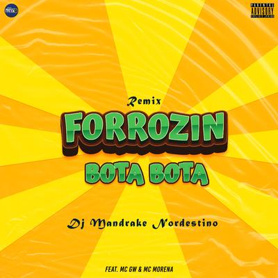 Forrozin Bota Bota (feat. Mc Gw & Mc Morena) (feat. Mc Gw & Mc Morena) By Dj Mandrake Nordestino, Mc Gw, MC Morena's cover