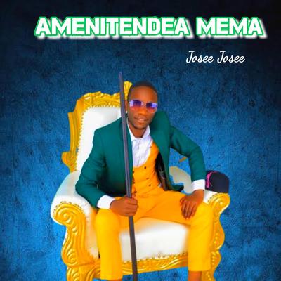 Amenitendea Mema's cover