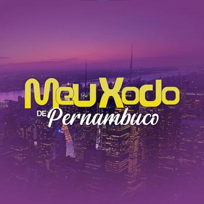 Sou Não Sou By Banda Meu Xodó De Pernambuco's cover