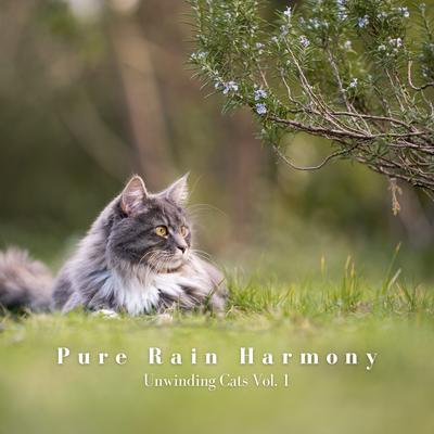 Pure Rain Harmony: Unwinding Cats Vol. 1's cover