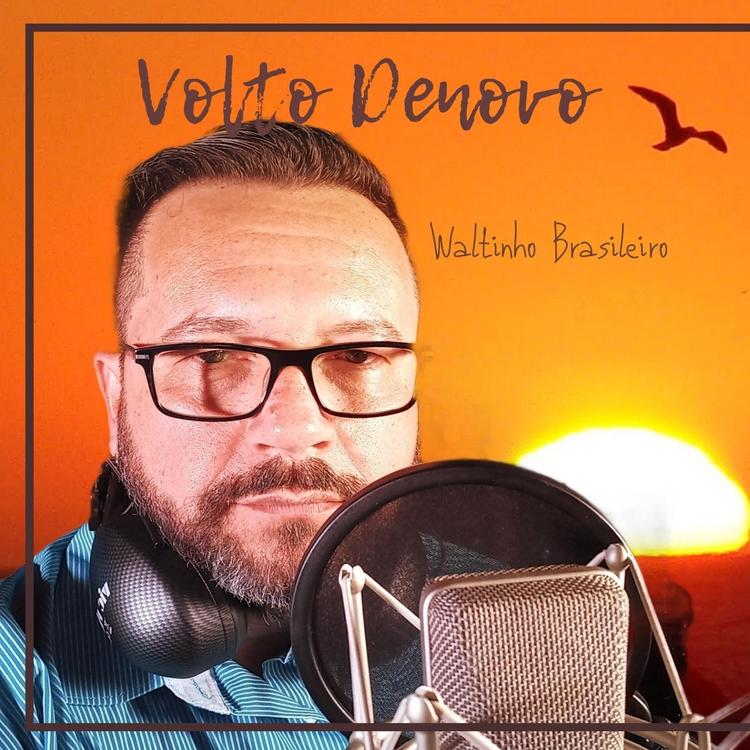 Waltinho Brasileiro's avatar image