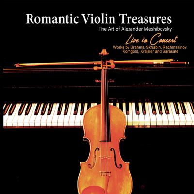 Romantic Violin Treasures (Live)'s cover