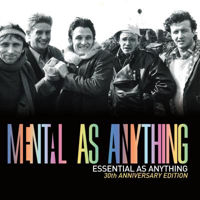 Essential as Anything (30th Anniversary Edition) [Audio Version]'s cover