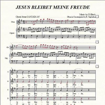 JESUS BLEIBET MEINE FREUDE Choral from Cantata Bwv 147 (Choir and Organ)'s cover