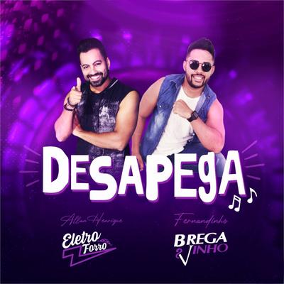 Desapega By Allan Henrique Cantor, Fernandinho Brega e Vinho's cover