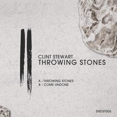 Throwing Stones By Clint Stewart's cover
