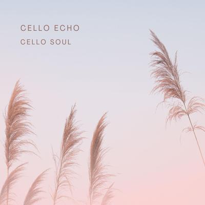 Cello Echo By Cello Soul's cover