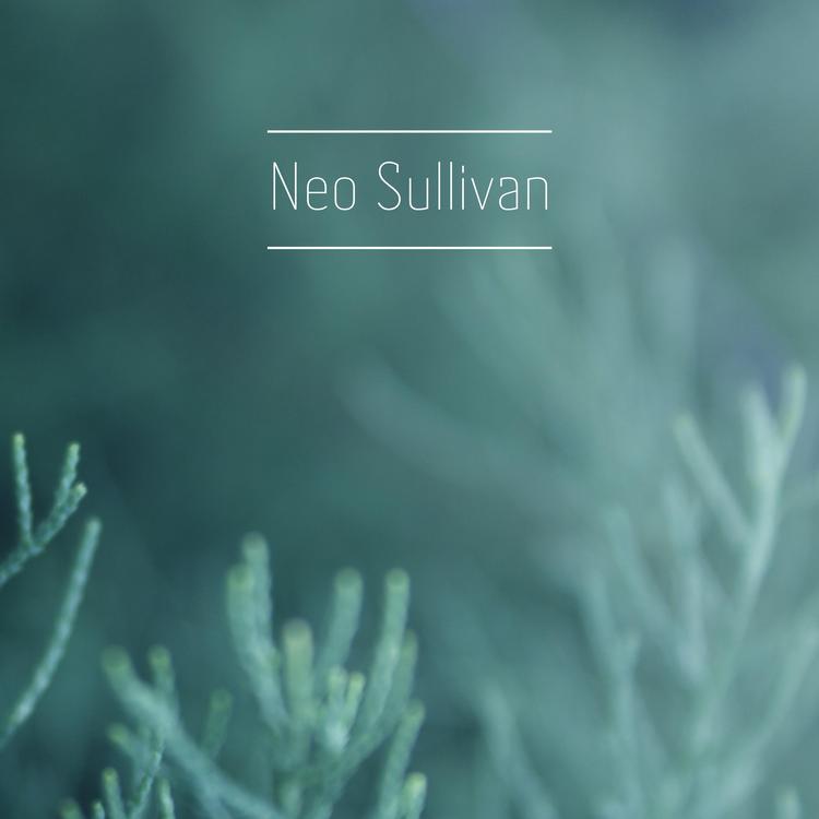 Neo Sullivan's avatar image