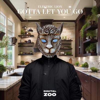 Gotta Let You Go By Electric Lion's cover