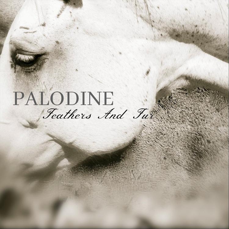 Palodine's avatar image