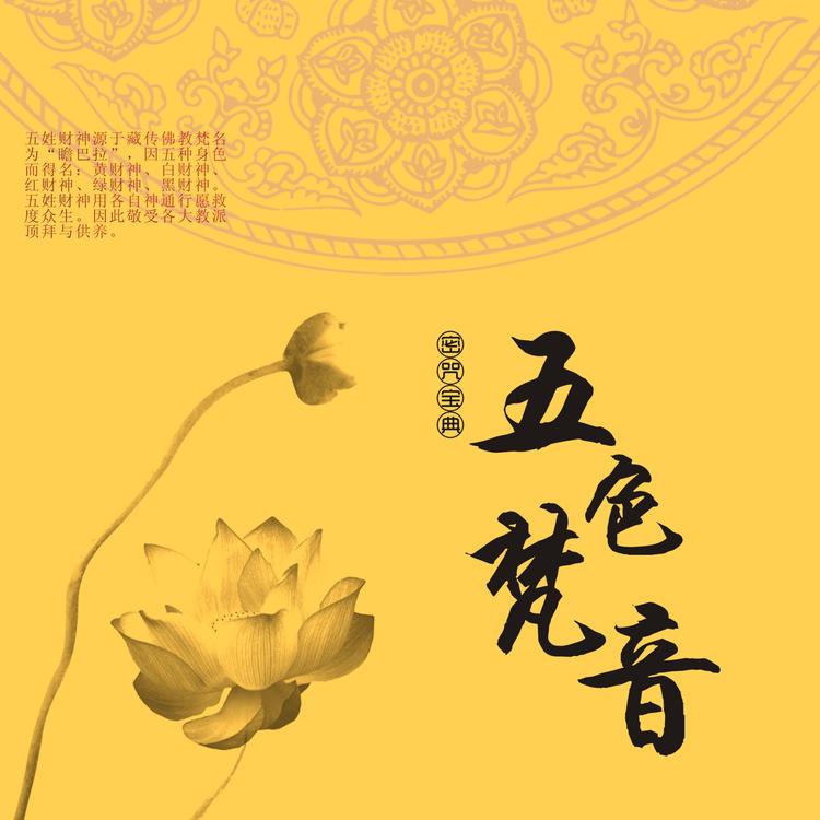 曾黎's avatar image