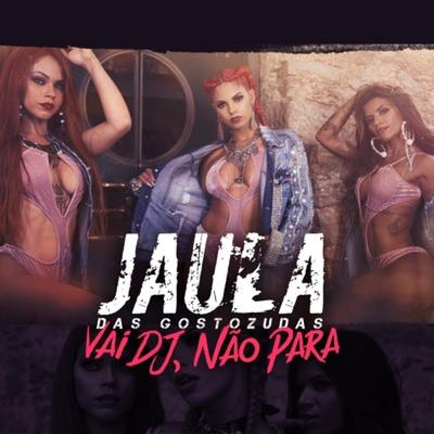 Vai Dj, Não Para By Jaula das Gostozudas's cover