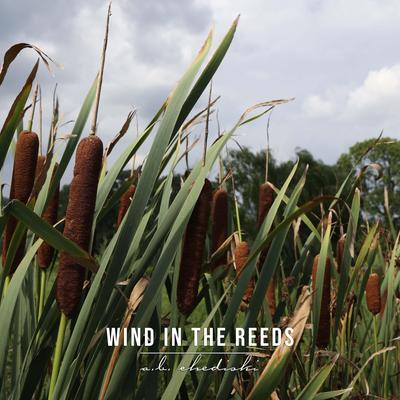 Wind In The Reeds By A.B. Chediski's cover