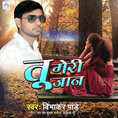 Tu Meri Jaan's cover