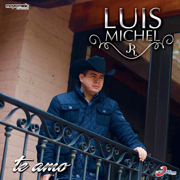 Luis Michel Jr's avatar image