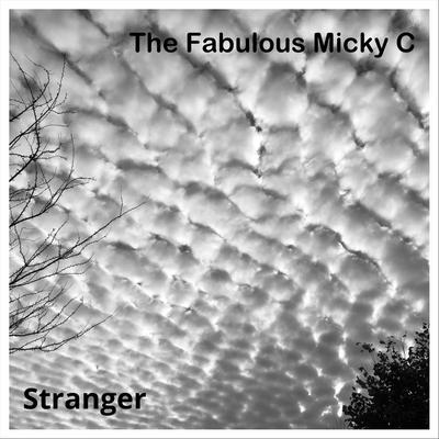 The Fabulous Micky C's cover