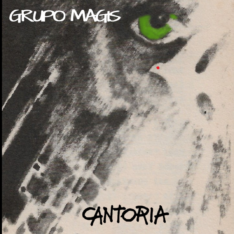 Grupo Magis's avatar image