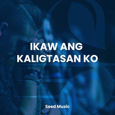 Seed Music's cover