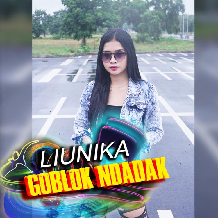 Liunika's avatar image