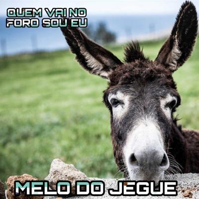 Melo do Jegue By Jd Forro De Paredão's cover