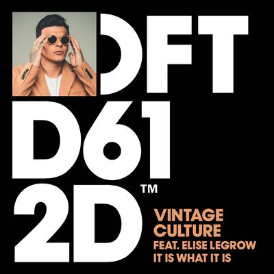 It Is What It Is (feat. Elise LeGrow) [Club Mix] By Vintage Culture, Elise LeGrow's cover