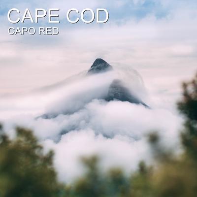 Cape Cod's cover