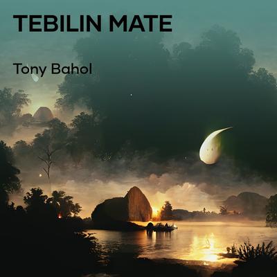 Tebilin Mate's cover