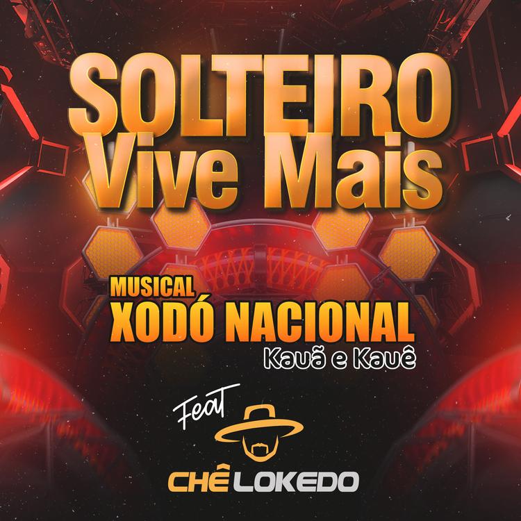 Musical Xodó Nacional's avatar image