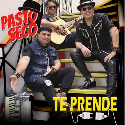 Pasto Seco's cover