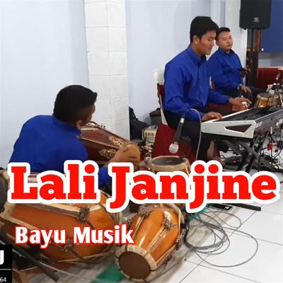 Lali Janjine's cover
